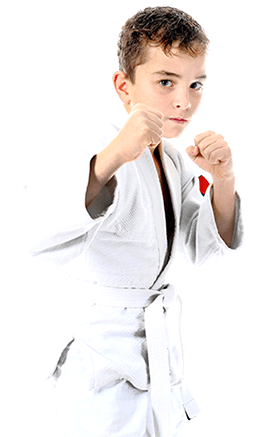 Kids Taekwondo Karate Fitness Martial Arts